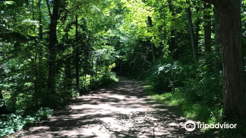 Ball's Falls Conservation Area