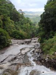 Gunung Stong