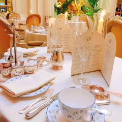 The Palm Court User Photo