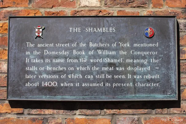 4_Shambles