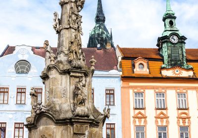 Plague Column