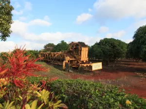 Dole Plantation