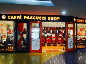 Caffe Pascucci Seoul Station Store