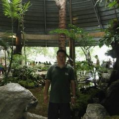 黑森林餐廳張用戶圖片