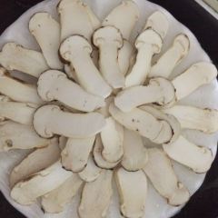 Snow mountain clouds wild mushrooms 여행 사진