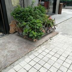 朴舍漫时光 User Photo