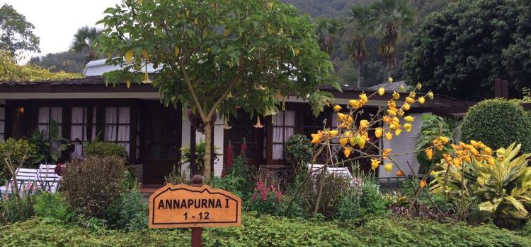 Fish Tail Lodge