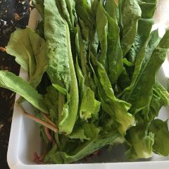 古城红酸汤 User Photo