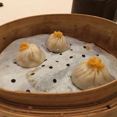 Shanghai River張用戶圖片