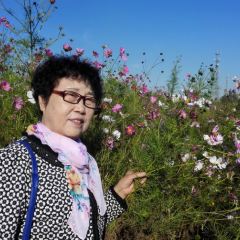 Changjixiaochiyitiaojie User Photo