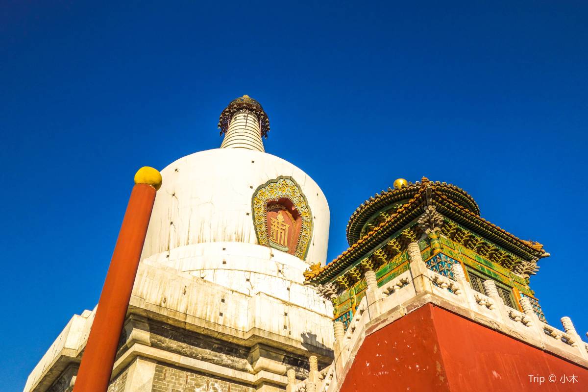 北海公園でリラックスとしたひと時を過ごそう!