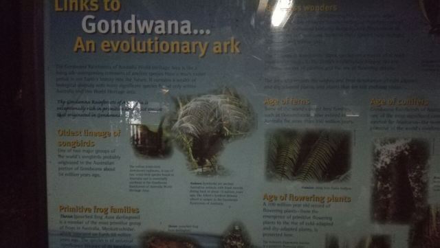 Glow Worm Tour