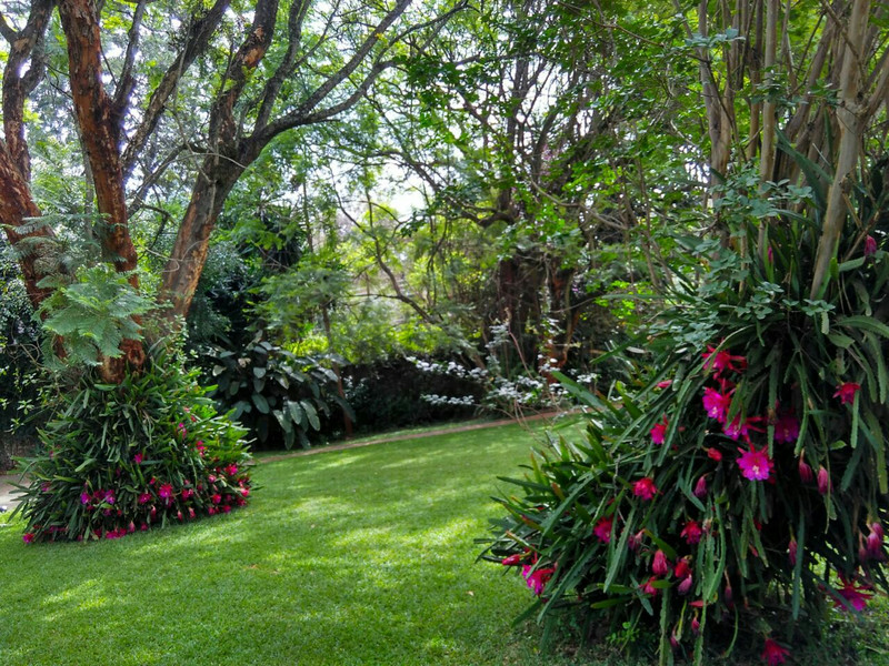 KAREN BLIXEN COFFEE GARDEN & COTTAGES (NAIRÓBI, QUÊNIA): 151 fotos,  comparação de preços e avaliações - Tripadvisor