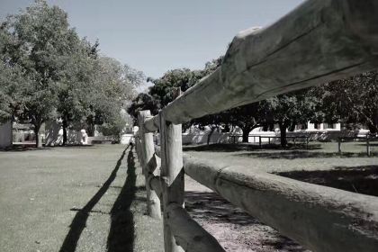 Babel at Babylonstoren