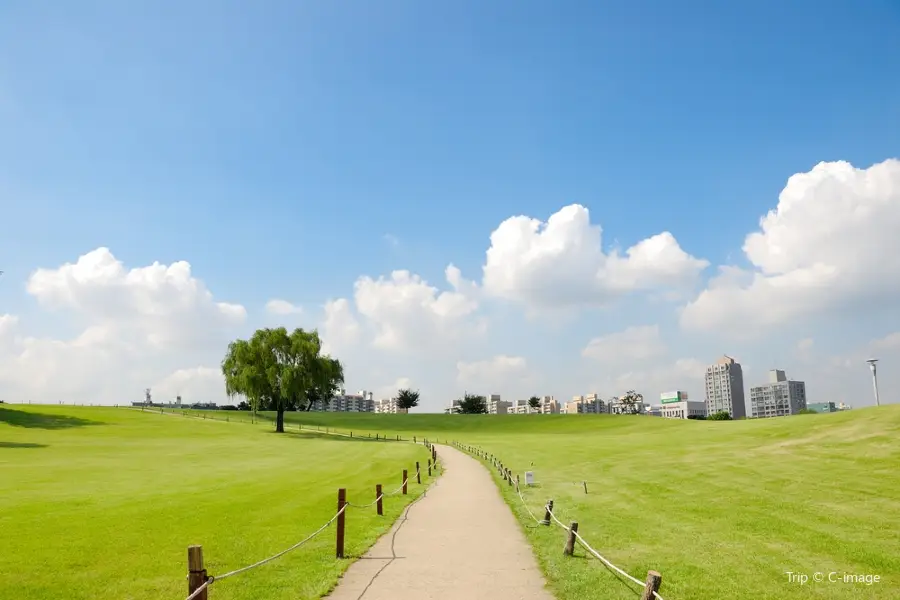 奧林匹克公園