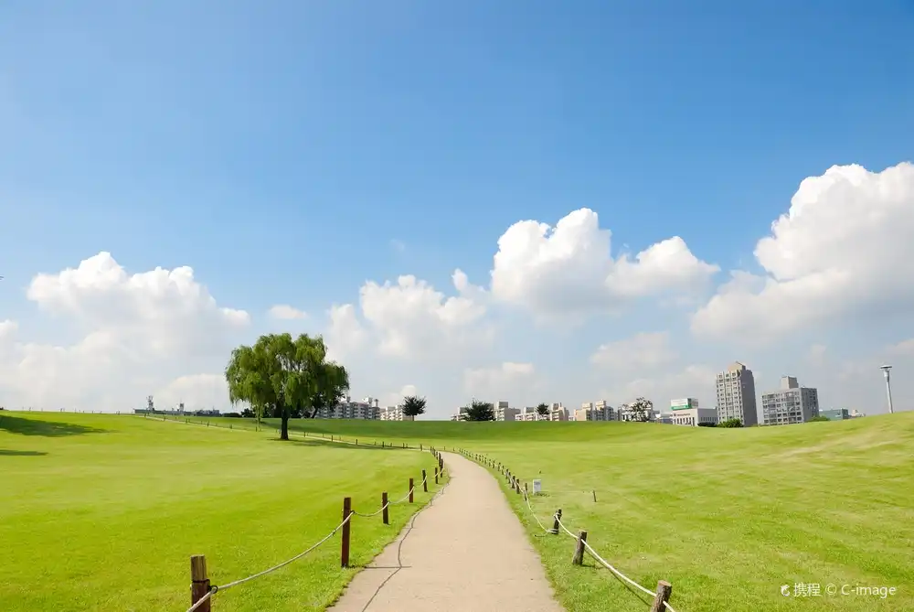 Các khách sạn gần Olympic Park
