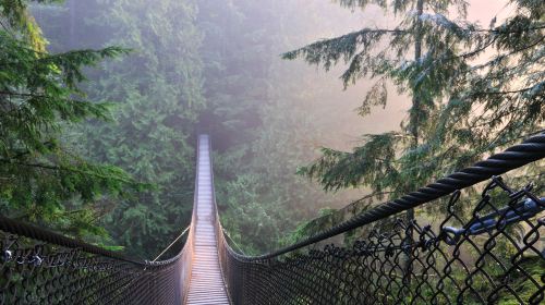 Lynn Valley Library