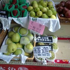 Lily Fruit User Photo