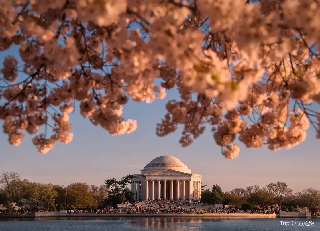 4_Thomas Jefferson Memorial