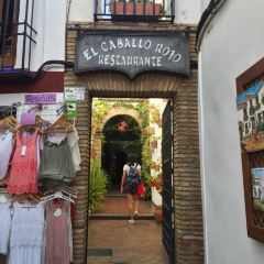 El Caballo Rojo User Photo