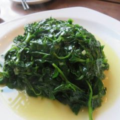 Wutingyinchunchashe(guoqingludian) User Photo