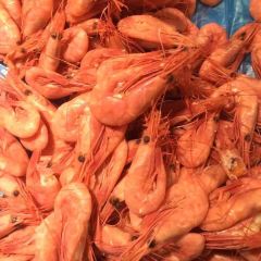 Fishmarket in Bergen User Photo