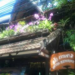 Natural Restaurant User Photo