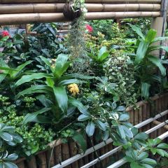 Jungle Kitchen User Photo