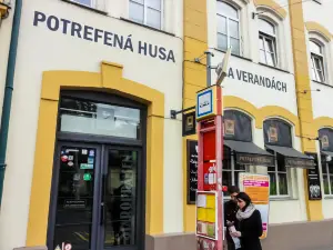 Potrefena Husa Na Verandach