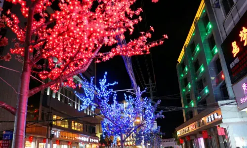 Taoyang Alley Historical and Cultural District