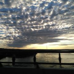 MO RI GE LE MENG GU DA YING User Photo