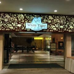 white tiger User Photo