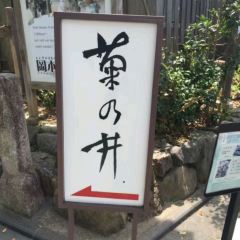 Kikunoi Roan User Photo