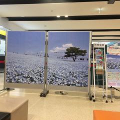 Suginoya Honjin Ibaragi Airport User Photo