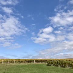 Oakridge Wines User Photo