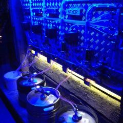 Rorbua Pub User Photo
