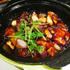 XiaoZi TaiTai (ZhongYang Main Street) User Photo