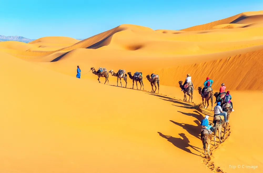 Sahara Desert