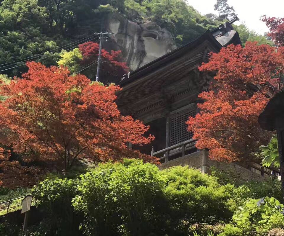 仙台紅葉 | 寶珠山立石寺