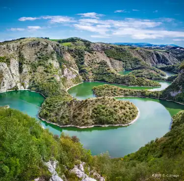 Pet Friendly Hotels in Serbia