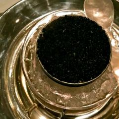 Le Pré Catelan User Photo