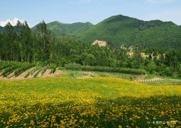 【江西美食】2026江西美食餐廳盤點！附當地景點推薦