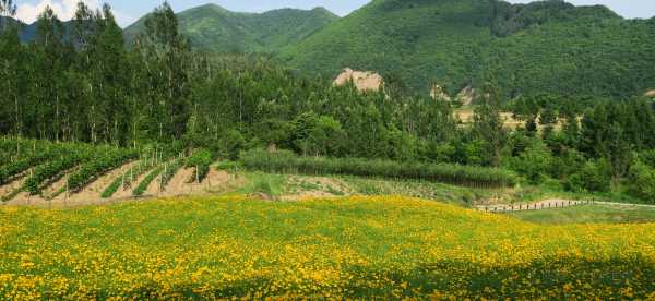 Inns de Jiangxi, Chine