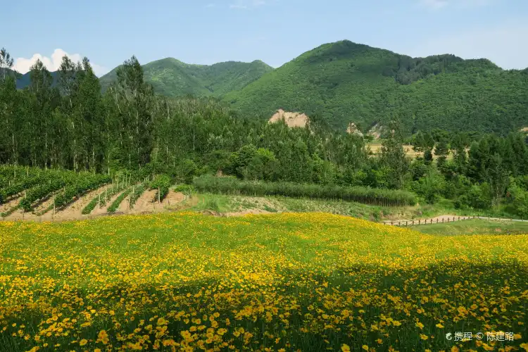 Pet-friendly Hotels in Jiangxi, China