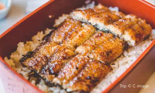 Yoshizuka Unagi