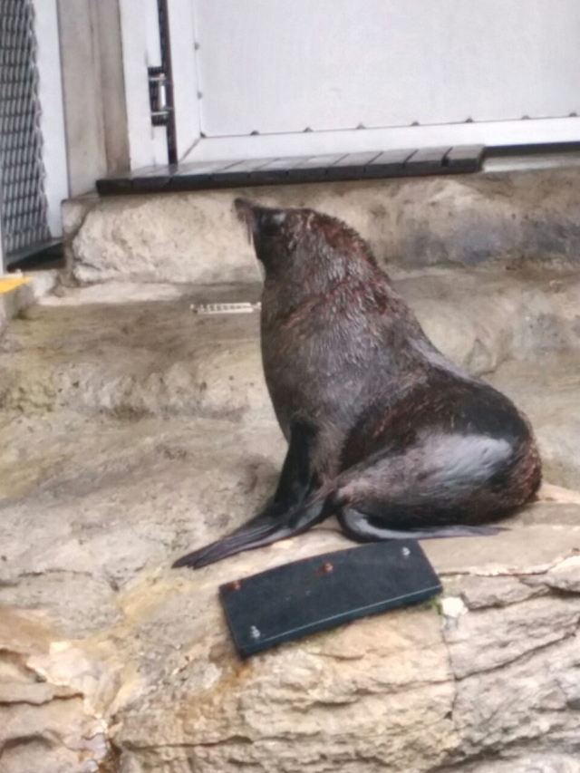 Taronga Zoo