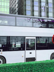 홍콩 크리스탈 버스 투어