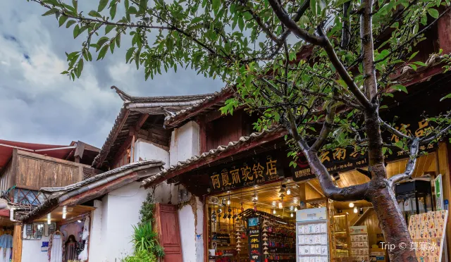 阿廈麗駝鈴店