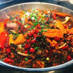 HE JI NIAN YU JI DE HAI XIANG SHI JIE DIAN User Photo