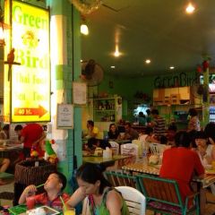 Green Bird User Photo